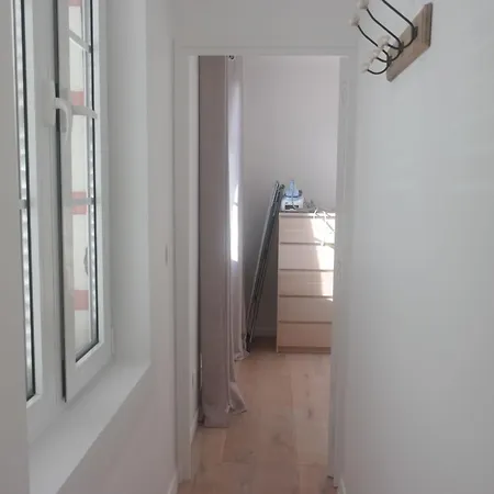 Rose In By Interhome